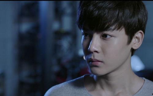 寒武纪电视剧照片,穿越时空的奇幻之旅，探寻生命的起源之谜