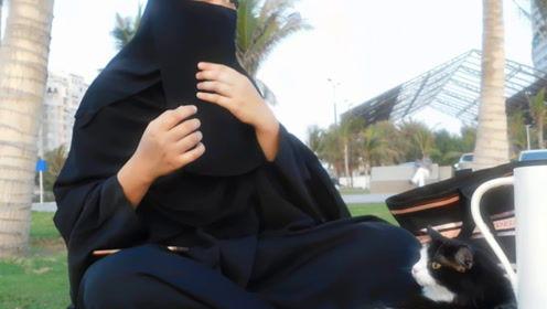 娱乐吃瓜君网红,揭秘网红背后的故事